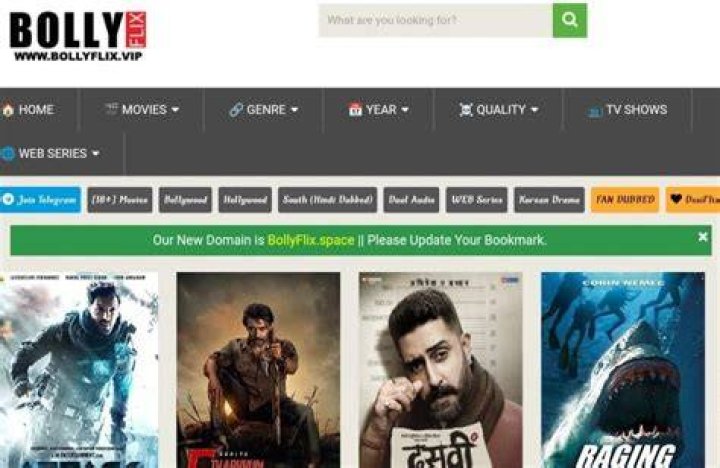BollyFlix: Your Ultimate Destination for Bollywood Entertainment