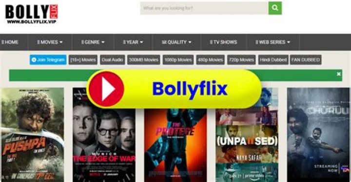Exploring the World of Movie Bolly Filx.com: Your Ultimate Guide