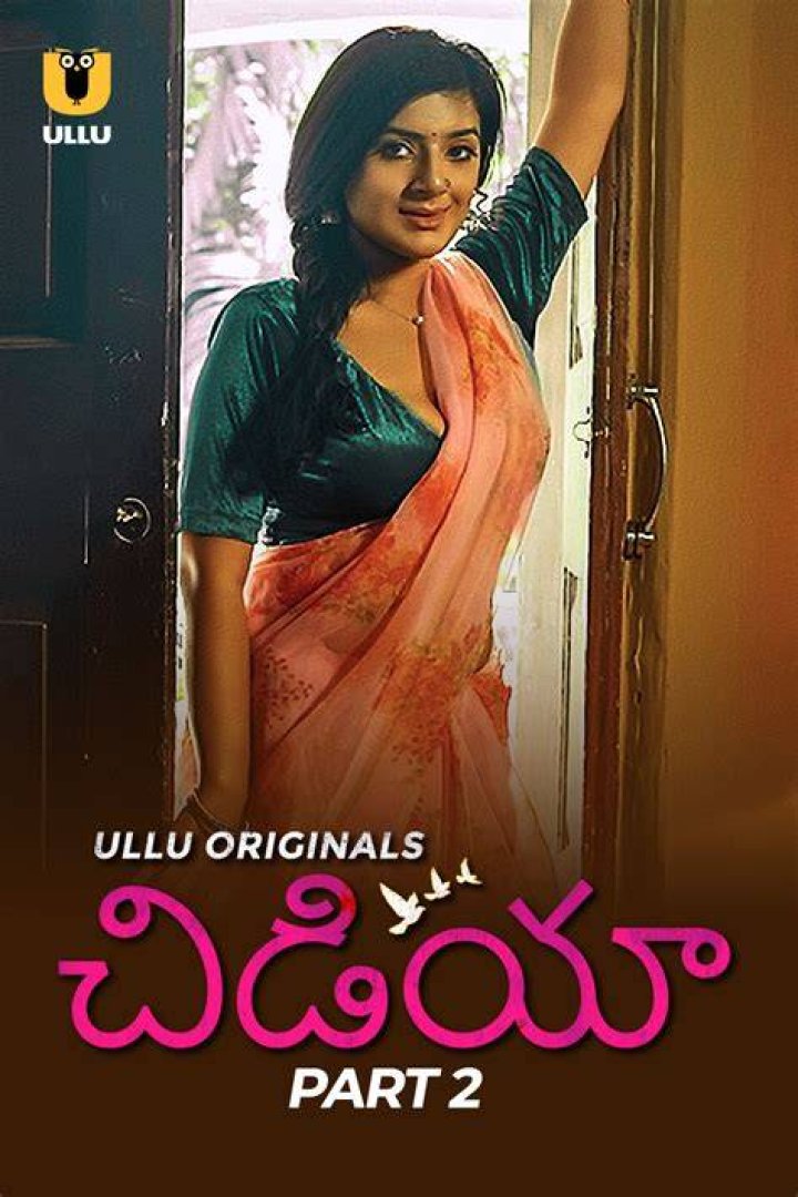 Telugu Ullu Web Archives: A Comprehensive Guide to Exploring the World of Telugu Short Films