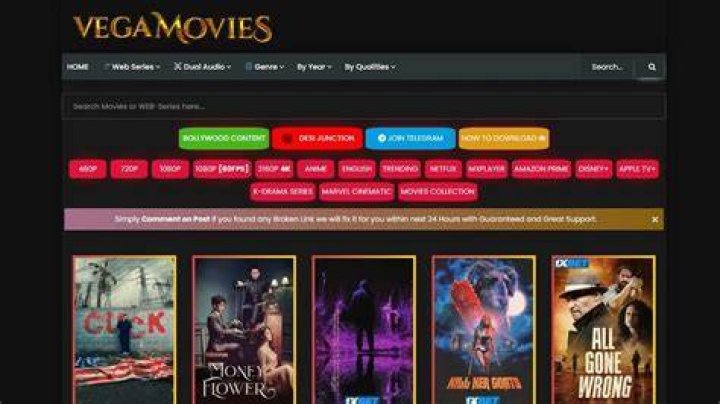 Vega Movi NL: A Comprehensive Guide to the Ultimate Entertainment Experience